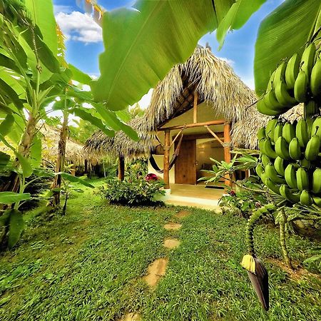 Casa Picaflor Las Terrenas Exterior foto
