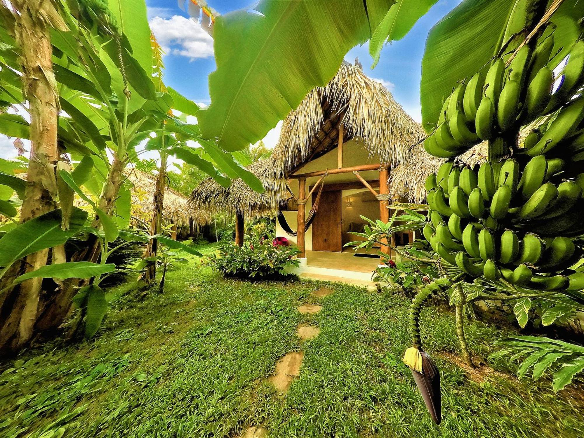 Casa Picaflor Las Terrenas Exterior foto